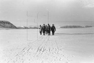 Wordie-Bucht : Holztransport auf dem Eis (Arthur Baumann, Helmut Reyer, Wilfried Maaß, Heinz Grams, Siegfried Czapka)