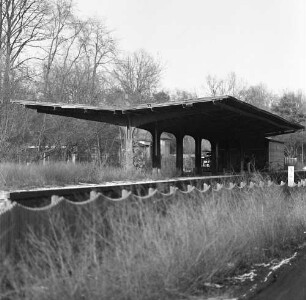 Ahrensfelde. Ehemaliger Bahnhof der Strecke Berlin - Wriezen. Haltepunkt Ahrensfelde-Friedhof (Eröffnung 16.11.1908). Blick gegen den verwilderten Bahnsteig mit Überdachung