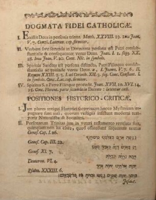 Dogmata fidei catholicæ.