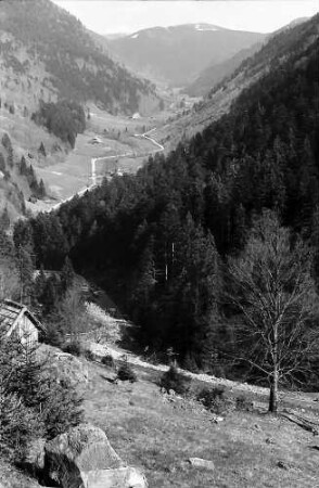 Wilhelmertal mit Fahrstraße und Feldberg aus dem Oberrieder Tal