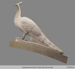 Pfau (Fontana di Sala Grande)
