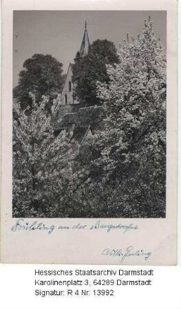Zwingenberg an der Bergstraße, Kirche / Blick über blühende Bäume und Sträucher auf die Kirche