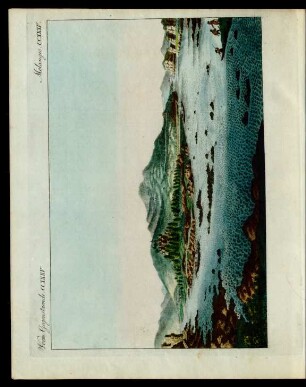 Der Donaustrudel in Nieder-Oesterreich.
