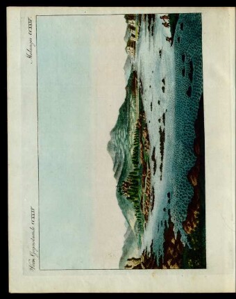 Der Donaustrudel in Nieder-Oesterreich.