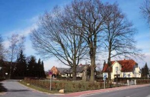 Ehrenmal und Friedenseiche