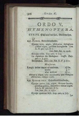ORDO V. HYMENOPTERA.