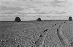 Landschaft bei Bad Doberan-Heiligendamm