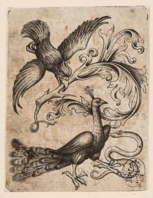 Pfau, Rabe und Schlange