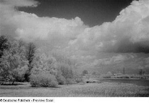 Wiesenlandschaft