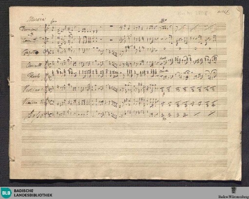 Waltzes - Don Mus.Ms. 2808 : orch; D
