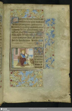Der Evangelist Johannes