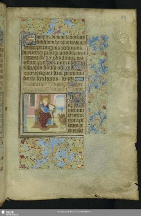 Der Evangelist Johannes