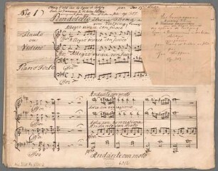 "Les compagnons - fl (vl), pf; HenK op. 307". - BSB Mus.Schott.Ha 6332-2