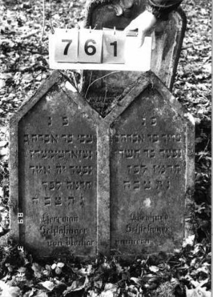 Grabstein 761 (Index: 99751587) Material: Sandstein Zustand: gut Maße HxBxT: 70x65x13 cm Beschreibung: Doppelstele mit giebelartigen Abschlüssen, Schriftfelder eingetieft Besonderheit: Schreibfehler: Grabstein 761
