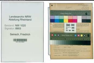 Entnazifizierung Friedrich Seinsch , geb. 27.09.1889 (Fabrikant)