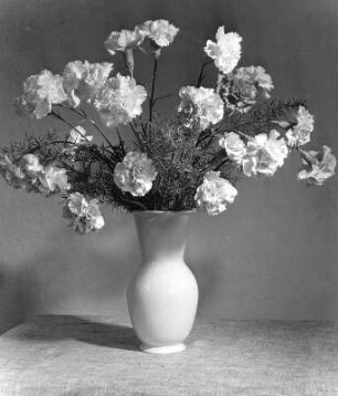 Blumen. Nelkenstrauß in bauchiger Vase