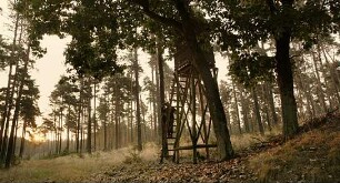 Auf der Jagd - Wem gehört die Natur?