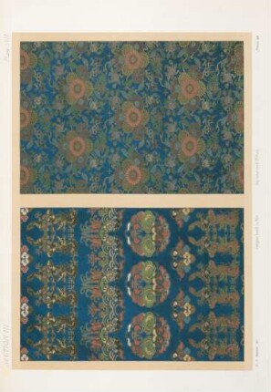 Plate VIII.
