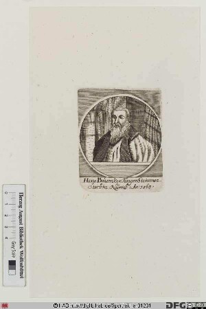Bildnis Hanns Behaim (Beheim) d. J.