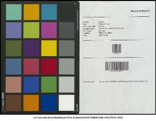 Epistolarum Pauli Manutii Libri XIV. : Indicibus Quorum Altero Nomina eorum quibus Epistola sunt ... adiectis
