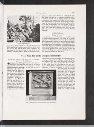 VIII. Von der württ. Divisions-Kavallerie