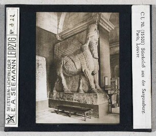 Stierkoloss aus der Sargonsburg. Paris, Louvre (Seestern-Nr. 15531)