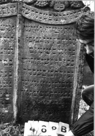 Grabstein 488 (Index: 99752892) Material: Sandstein Zustand: leicht verwittert Maße HxBxT: 134x96x13 cm Beschreibung: Doppelstele, geschwung. Abschlüsse mit Mittelakroteren, zwei Schriftfelder eingetie Symbolik: Trauben, Feigen, Muscheln, Band, Wappenschild, Schriftband: Grabstein 488B