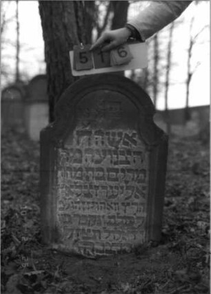 Grabstein 516 (Index: 100115451) Material: Sandstein Zustand: verwittert Maße HxBxT: 68x47x11 cm Beschreibung: Stele mit konkav eingezogenem Rundbogenabschluß, eingetieftes Schriftfeld: Grabstein 516