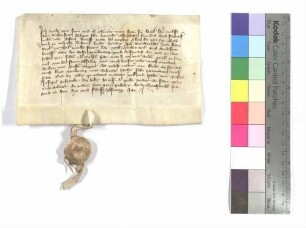 Verzichtbrief der Brüder Walz und Konrad vom Stein