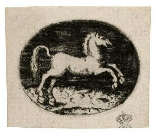 Galoppierendes Pferd