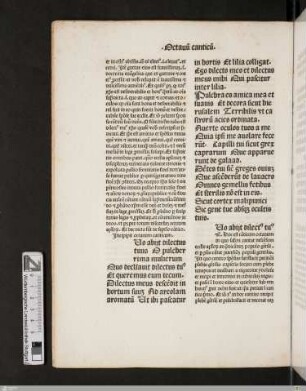 Octauum canticum