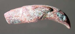 Flacher Vogelkopf mit großen Augen und stark gekrümmtem, großem Schnabel (nach rechts; in Wirklichkeit aber ein Hundekopf nach links)