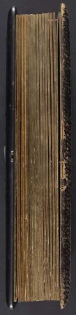 Dresdener Familienalbum : Dresdener Familienalbum. Ledereinband, geprägt mit Metallmontierung, Goldschnitt und Metallschließe; 34 x 21 x 7 cm (um 1890). Dresden: SLUB/DF 2017.D.22