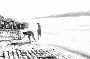 Wyhl: Rampe am Rhein