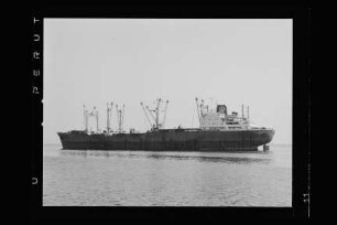 Carl Trautwein (1960), Frachtschiff, Alfred C. Toepfer Schiffahrts GmbH, Hamburg, Bau-Nr. 334