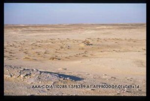 Djara 98/20