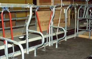 Fotografie: Stallsystem, Fressgitter