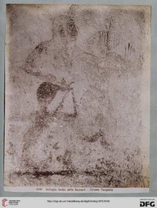 9081 Dettaglio Tomba delle Baccanti - Corneto Tarquinia