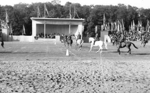 Reitturnier auf der Reichsnährstandausstellung 1939 : Ein Reitturnier auf dem Großen Ring im Rahmen der 5. Reichsnährstand-Ausstellung 1939 in Leipzig.
