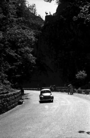 Höllental: Höllentalstraße am Hirschsprung; mit Hirsch und Niki oben