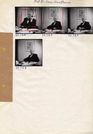 Portraitserie Hans Kauffmann