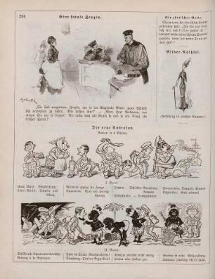 "Eine fatale Zeugin" "Bilder-Räthsel" "Der neue Robinson"