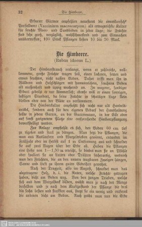 Die Himbeere