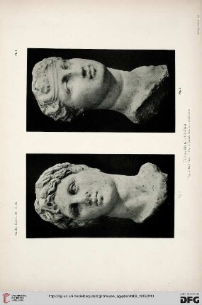 Planche I - XXXVIII
