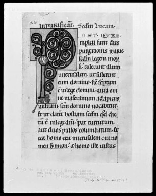 Perikopenbuch — Initiale P (ostquam inpleti), Folio 7recto