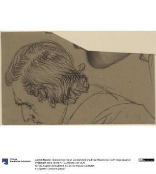 Heinrich von Kleist, Der zerbrochene Krug: Männlicher Kopf, vorgebeugt im Profil nach links