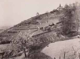 Radebeul-Oberlößnitz, Blick über Gärtnereien und Weinberg zum Spitzhaus