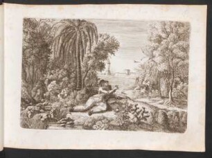 XVIII. Der Wandersmann und Kolibri
