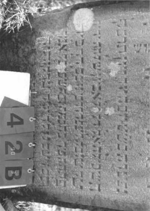 Grabstein 42 (Index: 100009537) Zustand: unten zum Teil abgebröckelt, eingesunken Maße HxBxT: 85x64x9 cm: Grabstein 42B