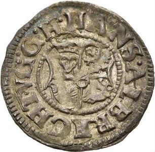 Mecklenburg-Güstrow: Johann Albrecht II.